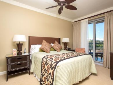 Kaanapali  Maui Condo 895767